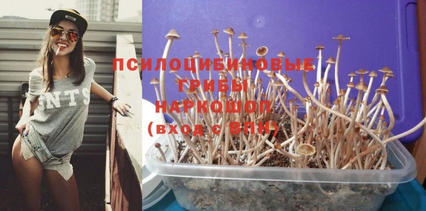 твердый Надым