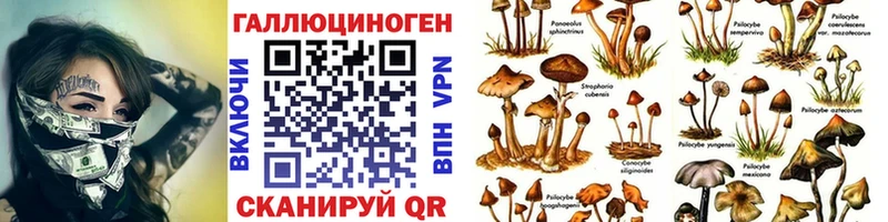 Галлюциногенные грибы Cubensis Тюкалинск